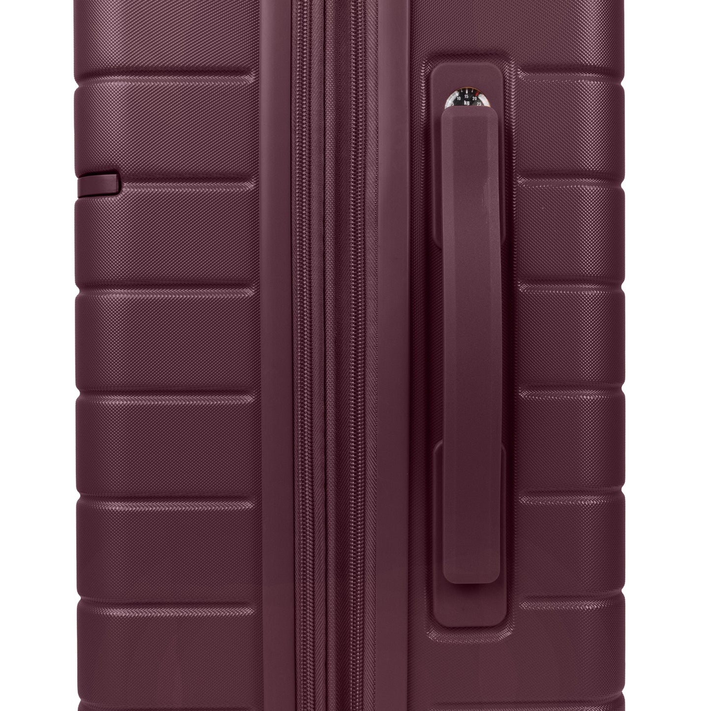 Bugatti Munich Valise cabine