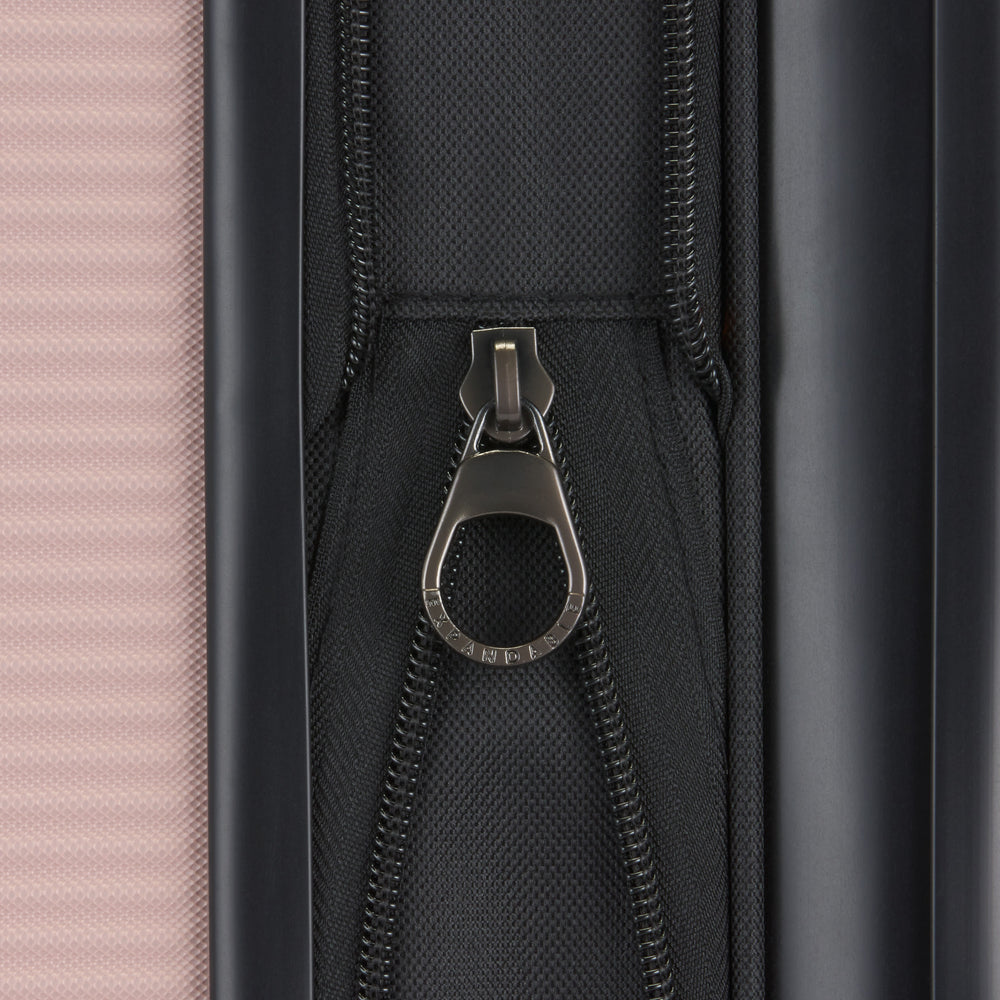 Bugatti Wellington Valise cabine