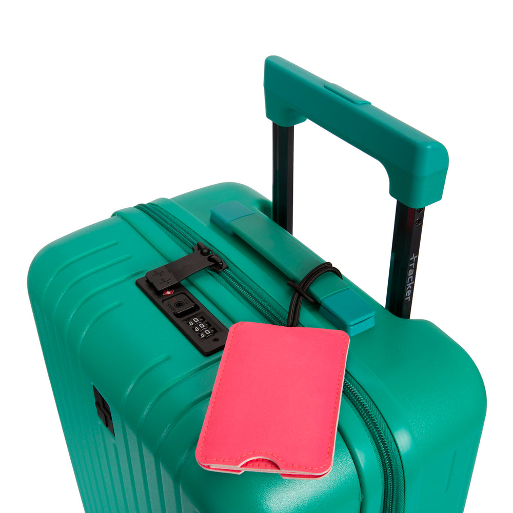 Pink Slide Luggage Tag - Bentley